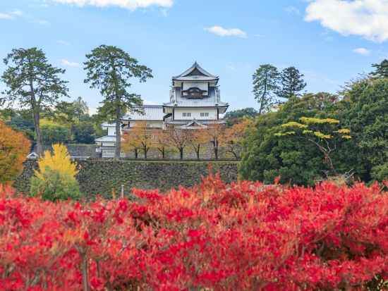 金沢港クルーズターミナル発着 貸切観光タクシー ひがし茶屋街・兼六園・金沢城・近江町市場など金沢の人気スポット10か所へご案内＜1日／1～9名／選べる車種＞