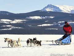 Whitehorse-Northern-Tales-Dog-Sled-02