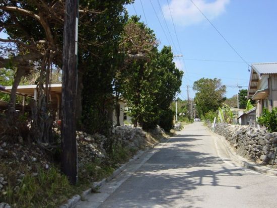 鳩間島観光＋バラス島シュノーケリング　手つかずの自然が残る人口約60人の島「鳩間島」とサンゴの欠片でできた奇跡の島「バラス島」を日帰りで満喫＜石垣島発＞