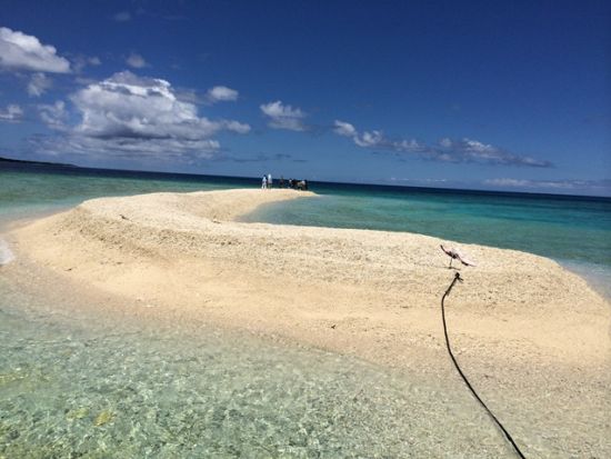 鳩間島観光＋バラス島シュノーケリング　手つかずの自然が残る人口約60人の島「鳩間島」とサンゴの欠片でできた奇跡の島「バラス島」を日帰りで満喫＜石垣島発＞