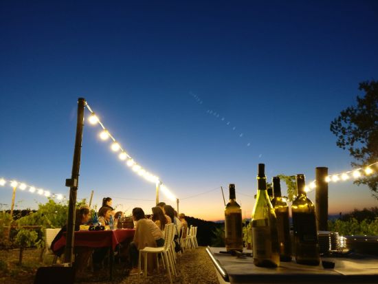 トスカーナ州　キャンティ地方ワイナリー訪問＆ディナー ＜4～9月／試飲付き＞