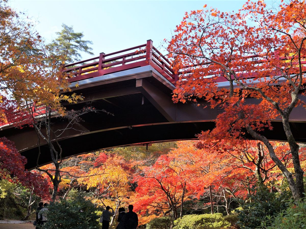 燕 弥彦 寺泊 定番観光日帰りツアー パワースポット彌彦神社 魚のアメ横 寺泊 魚の市場通り 産業資料館で国宝を見学 観光タクシー 燕三条駅または彌彦神社発 新潟の観光 遊び 体験 レジャー専門予約サイト Veltra ベルトラ