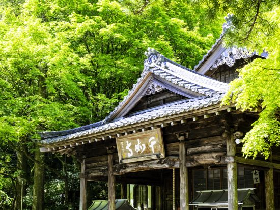 福岡発日帰りバスツアー｜【糸島観光コース】伊都菜彩＋二見ヶ浦＋桜井神社＋芥屋の大門 ＜木～月／博多発着＞