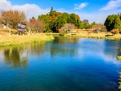 pixta_65297283_M