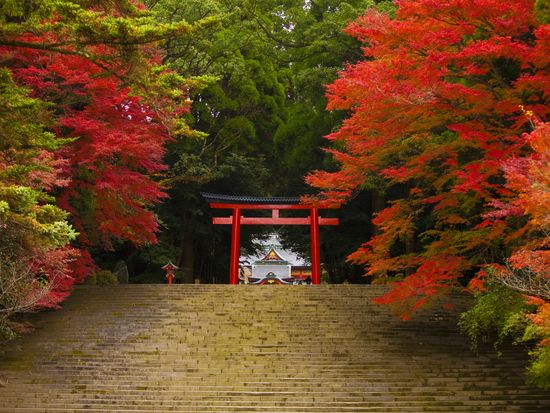 Japan_Kagoshima_Kirishima_jingu_3770164_M