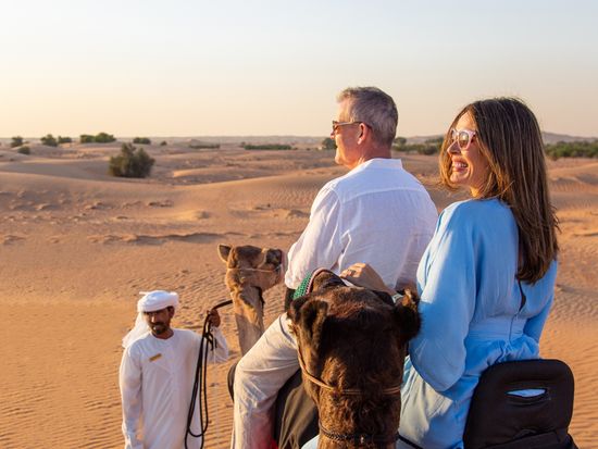 PSS_guest-camel-ride-stopped