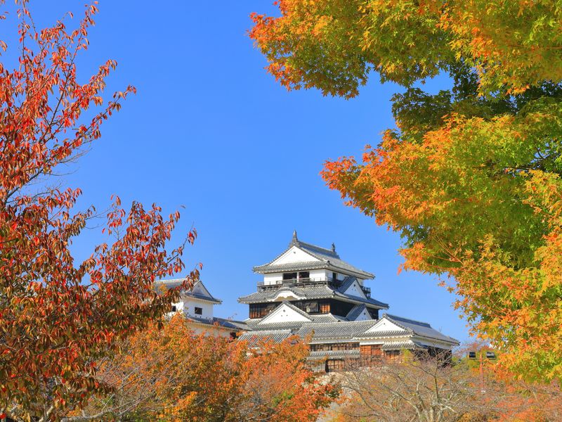 貸切定番観光ツアー 松山の人気観光地を1日で巡る 道後温泉 石手寺 松山城 坂の上の雲ミュージアム 正岡子規や伝統工芸にも触れる充実旅 6時間 松山発 愛媛の観光 遊び 体験 レジャー専門予約サイト Veltra ベルトラ