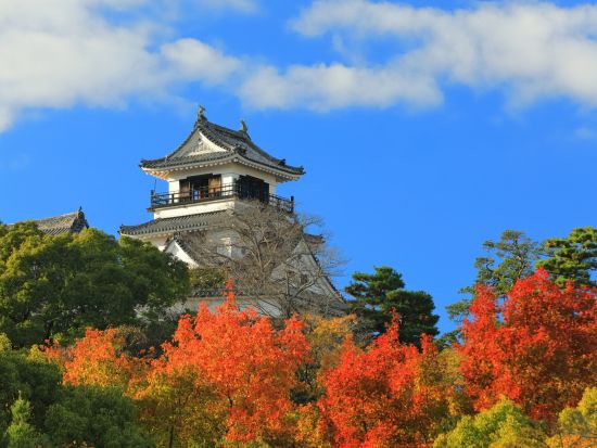 高知市内貸切名所ツアー　桂浜＋高知城・はりまや橋　選べる観光地＜3時間／選べる出発時間／高知市内発＞