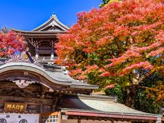 pixta_46159675_M