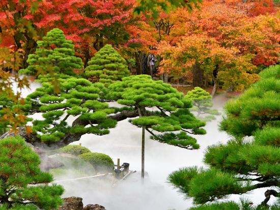 貸切観光タクシー　美しい日本庭園と紅葉が有名な「足立美術館」＋「由志園」＜4時間～／1-9名／松江市内・出雲空港発＞4名参加で1名7,900円～by松江一畑交通