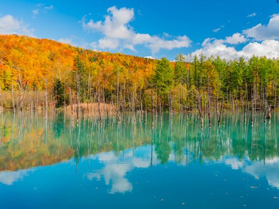 Hokkaido_Aoiike_Autumn_pixta_61267002_M