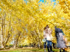 pixta_60706300_M