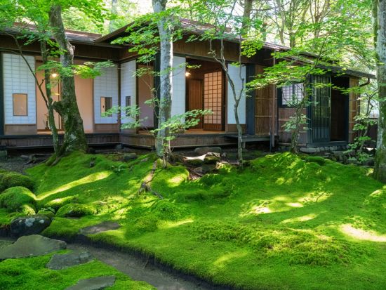 【愛犬連れOK】軽井沢ウォーキングツアー 聖パウロ教会や室生犀星記念館などの旧軽井沢定番スポットをガイドと巡る＜2時間／貸切／軽井沢町＞