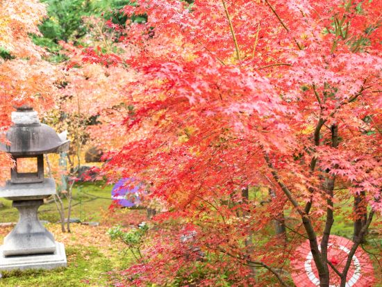 勝林寺 坐禅体験 自分と向き合い見つめ直す静かなひと時 ＜60分／1名～／東福寺駅＞