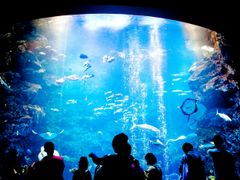 pixta_8338345_XL