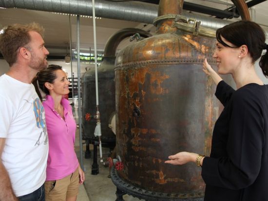 原産地のワインに舌鼓！香水のかおる町グラース1日ツアー＜ニース発＞