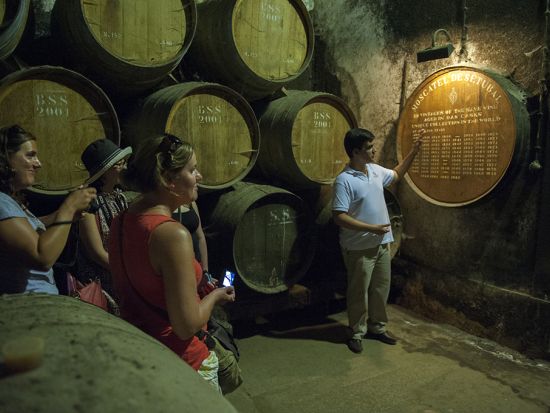 アラビダ半島 ワイナリーツアー ＜試飲付き／リスボン発＞