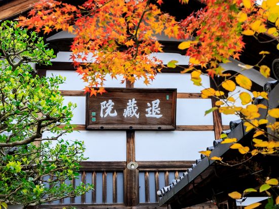 Japan_Kyoto_Myoshinji taizoin_pixta_60305001