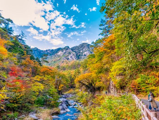 Japan_Yamanashi_Shosenkyo_pixta_81610241_M