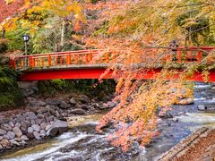 Japan_Shizuoka_Shuzenji_pixta_61201750_M