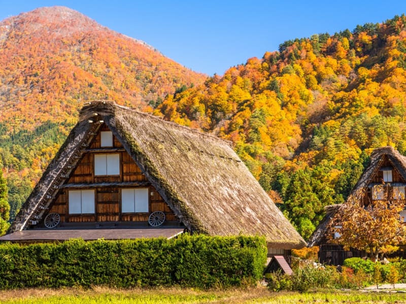 Japan_Gifu_Shirakawa-go_pixta_71547297_M