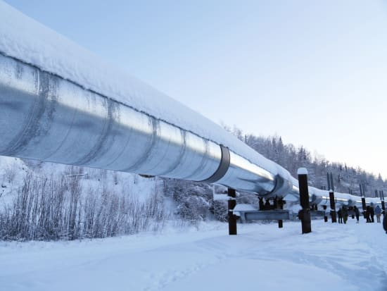 US_Alaska_ Trans-Alaska pipeline_pixta_18648378_M