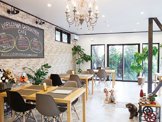 img_atterrace_room001_735_480