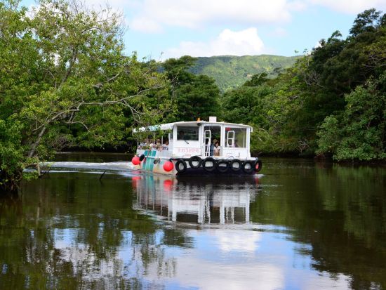 世界自然遺産　西表島と水牛車で行く由布島　のんびり満喫コース＜昼食付/石垣島発