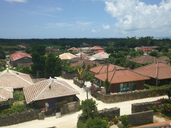 竹富島日帰り観光ツアー 選べる水牛車・バス観光・フリープランあり 帰りの便は好きな時間を選択可能＜石垣島発＞