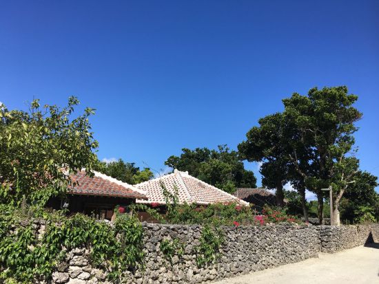 竹富島日帰り観光ツアー 選べる水牛車・バス観光・フリープランあり 帰りの便は好きな時間を選択可能＜石垣島発＞