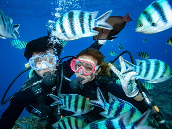 青の洞窟 体験ダイビング　2名に対しガイド1名の充実サポート！写真データプレゼント♪お魚エサあげ体験付＜ボート／ガイド貸切／恩納村ショップ集合＞
