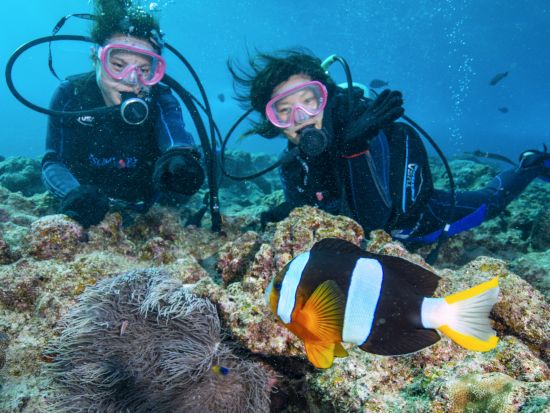 青の洞窟 体験ダイビング　2名に対しガイド1名の充実サポート！写真データプレゼント♪お魚エサあげ体験付＜ボート／ガイド貸切／恩納村ショップ集合＞