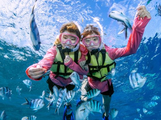 青の洞窟 シュノーケリング　エサあげ体験付！ツアー中撮影したお写真データプレゼント＜ボートエントリー／恩納村ショップ集合＞