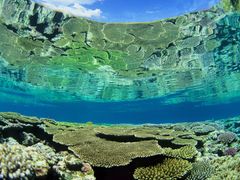 Japan_Okinawa_Ishigaki_Taketomijima_pixta_2175048_M