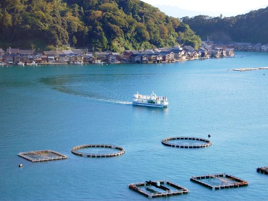 伊根湾めぐり遊覧船 海の京都・伊根の舟屋を船上から観賞 カモメのエサやりも人気！＜当日予約可／ペット連れOK＞by 丹後海陸交通