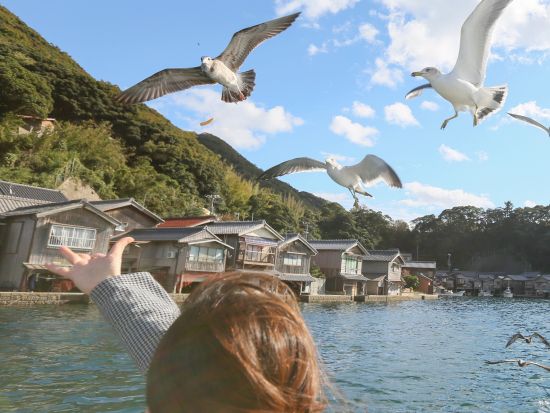 伊根湾めぐり遊覧船 海の京都・伊根の舟屋を船上から観賞 カモメのエサやりも人気！＜当日予約可／ペット連れOK＞by 丹後海陸交通