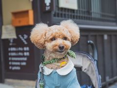 pixta_70986764_M