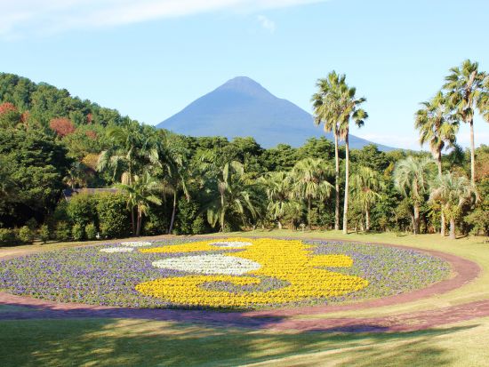 指宿市内発着貸切観光タクシー　長崎鼻 龍宮神社・西大山駅・フラワーパーク・たまて箱温泉など選べる南薩コース＜2.5～3時間＞by指宿観光交通株式会社