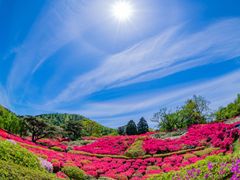 Japan_Shizuoka_Ito_Mt.Komuro_pixta_50518712_M