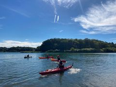 IMG_0154