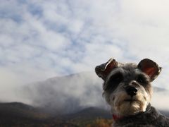 pixta_7676468_M
