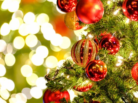 12月24日限定　讃美歌「きよしこの夜」生誕の地 オーベルンドルフ＆礼拝堂ミサ　観光ツアー ＜ザルツブルク発＞