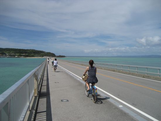 サイクリングツアー　ガイド貸切！ワルミ架橋や古宇利大橋、マングローブ林などにご案内＜3時間／屋我地島＞by 屋我地エコツーネット