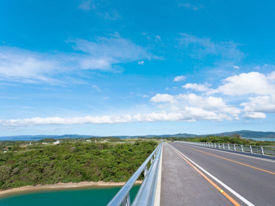 サイクリングツアー　ガイド貸切！ワルミ架橋や古宇利大橋、マングローブ林などにご案内＜3時間／屋我地島＞by 屋我地エコツーネット