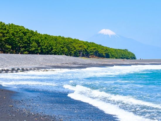 クロスバイクレンタル　日本平・久能山東照宮・三保の松原など静岡市周辺の名所巡りも楽々＜最大9時間／静岡駅での受取可／静岡市＞