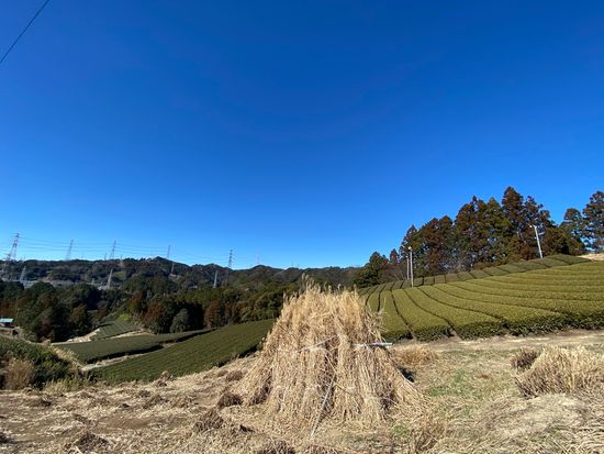 旅ノ舎～茶草場～粟ケ岳0130 002