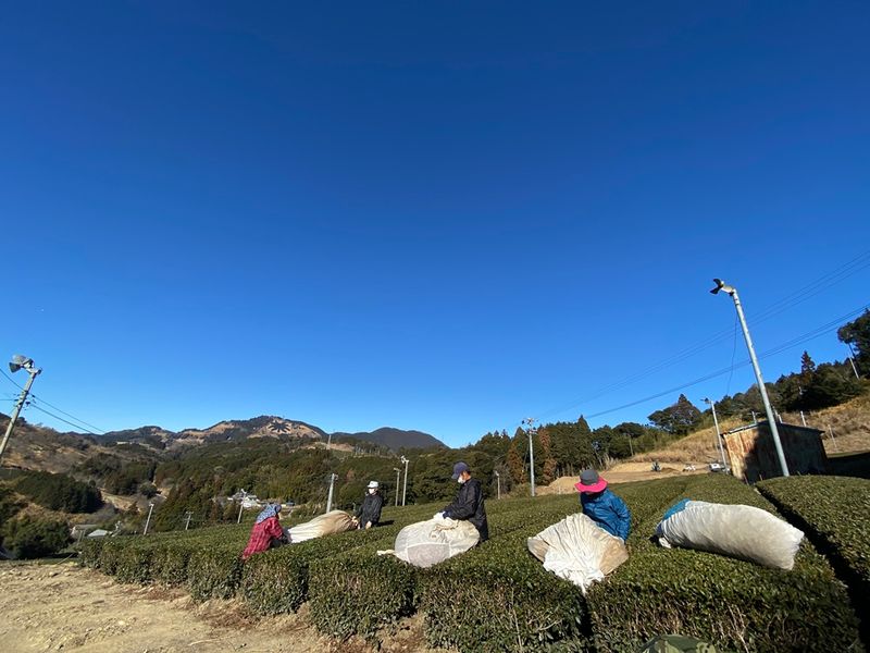 ニック取材ロケ0118 001