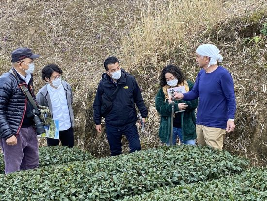 掛川2大スポット観光ツアー　茶摘み体験または茶揉み体験＋パワースポット 事任（ことのまま）八幡宮＋忍者ガイドと巡る掛川城・二の丸御殿＜1日／昼食付／掛川＞