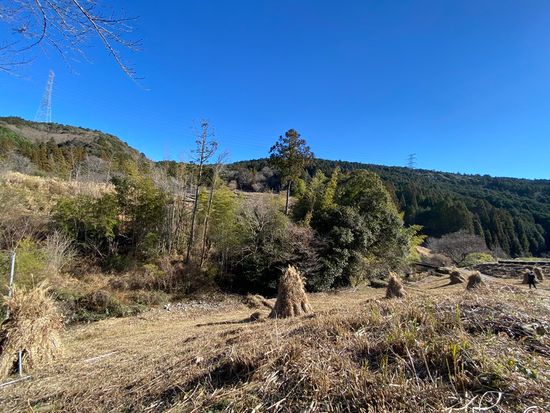 かっぽし【ＳＤＧｓ】