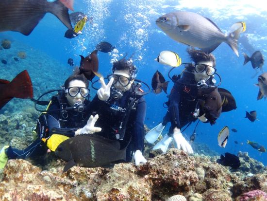 青の洞窟体験ダイビング 神秘的な大人気スポットを探検 サンゴ&熱帯魚ポイントに行けるプランもあり◎＜ボート／半日／グリーンフィンズ認定店／恩納村発＞